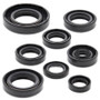 Vertex Pistons 822181 - Vertex Gaskets 86-02 Honda CR80R Oil Seal Kit