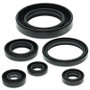 Vertex Pistons 822204 - Vertex Gaskets 99-05 Can-Am Traxter 500 Oil Seal Kit