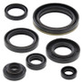 Vertex Pistons 822134 - Vertex Gaskets 94-95 Suzuki RM250 Oil Seal Kit Vertex Pistons 822134 - Vertex Gaskets 94-95 Suzuki RM250 Oil Seal Kit