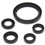 Vertex Pistons 822350 - Vertex Gaskets 09-23 Yamaha YFZ450R Oil Seal Kit