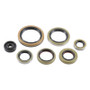 Vertex Pistons 822976 - Vertex Gaskets 21-23 Gas-Gas EC250 Oil Seal Kit