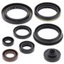 Vertex Pistons 822346 - Vertex Gaskets 10-11 Suzuki RMX450 Oil Seal Kit