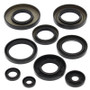 Vertex Pistons 822247 - Vertex Gaskets 07-08 Yamaha YFM400 Grizzly IRS Oil Seal Kit