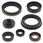 Vertex Pistons 822329 - Vertex Gaskets 07-22 Suzuki RMZ250 Oil Seal Kit