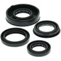 Vertex Pistons 822261 - Vertex Gaskets 04-06 Polaris Predator 50 Oil Seal Kit