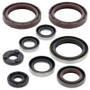 Vertex Pistons 822359 - Vertex Gaskets 09-11 KTM EXC 400 Oil Seal Kit