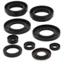 Vertex Pistons 822258 - Vertex Gaskets 98-01 Arctic Cat 400 2x4 Oil Seal Kit