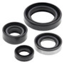 Vertex Pistons 822309 - Vertex Gaskets 90-99 Suzuki DR350SE Oil Seal Kit