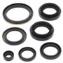 Vertex Pistons 822239 - Vertex Gaskets 03-04 Arctic Cat 400 4x4 w/AT Oil Seal Kit