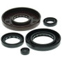 Vertex Pistons 822210 - Vertex Gaskets 01-14 Honda TRX500FA Oil Seal Kit