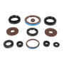 Vertex Pistons 822385 - Vertex Gaskets 2011 Arctic Cat 1000 H2 LTD Oil Seal Kit
