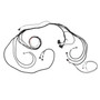 AEM 30-8603 - Front Low Voltage VCU300 Harness