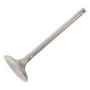 Hot Cams 8400008-2 - 03-09/11-15 WR 450 F Titanium Intake Valve - Center