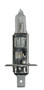 Hella H1 24V DP - Bulb, headLight
