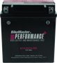 BikeMaster 781319 - Battery - BTX20CH-BS