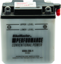 BikeMaster 781071 - Battery - 6N6-3B-1
