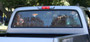 Brothers Trucks RGR87LGCLEAR - Rear Window Glass - Clear Brothers Trucks RGR87LGCLEAR - Rear Window Glass - Clear