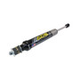 Arizona Desert Shocks 100ADS-10119 - ADS Mesa 2.5" Shocks - Rear