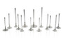 Ferrea F2456P - Ford 302-351 (Yates Nascar Heads) 1.55 Head 0.2355in Stem Dia Comp Plus Int Valve - Set of 8
