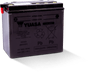 Yuasa Battery YUAM2216YTWN - Yuasa YB16-B Yumicron 12-Volt Battery