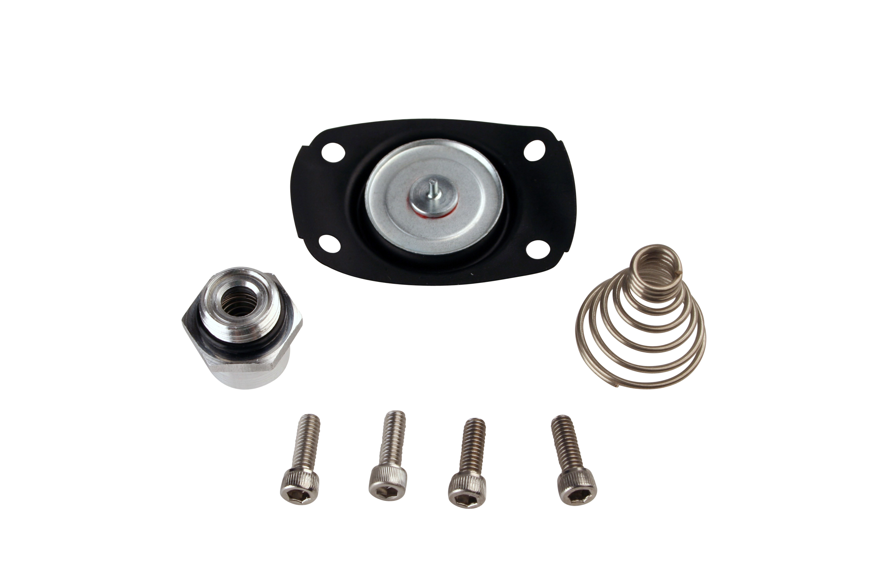 Aeromotive 13005 - Carb Regulator Repair Kit (for 13201/13205/13211/13215/13217/13251/13255) Aeromotive 13005 - Carb Regulator Repair Kit (for 13201/13205/13211/13215/13217/13251/13255)