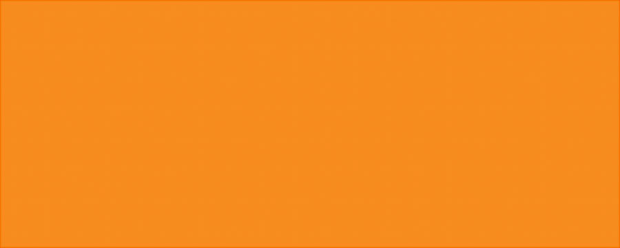 AllStar Performance ALL22244 - Aluminum Vib Orange/Vib Orange 4x10