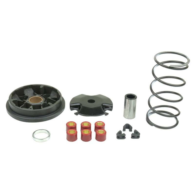 Athena P400485110001 - Agrale 50 Complete Speedmatic Variator Kit Athena P400485110001 - Agrale 50 Complete Speedmatic Variator Kit