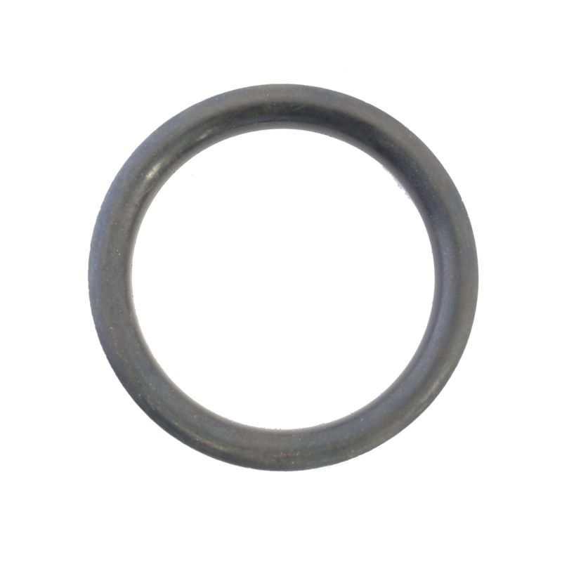 Athena S410195138001 - Harley-Davidson Sportsters Fuel Cap O-Ring - Set of 10