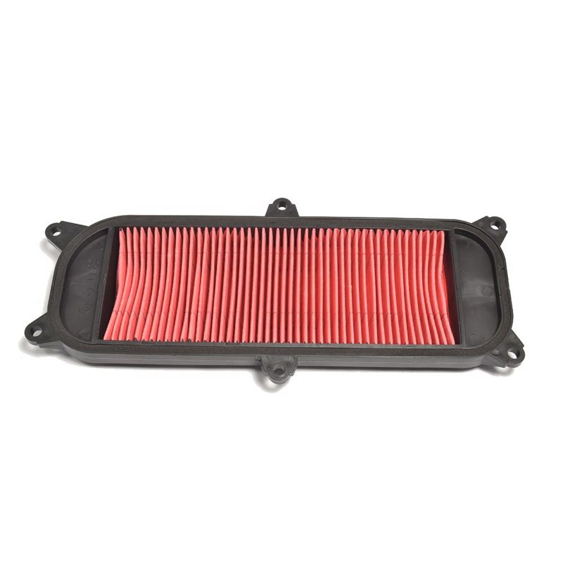 Athena S410210200078 - 03-04 Kymco 4T 250 Air Filter