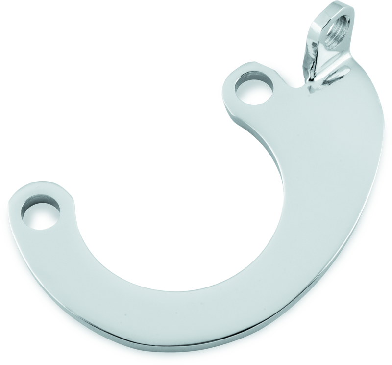 Bikers Choice 482899 - Chrome Big Twin Mousetrap Eliminator Bracket