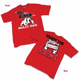 Bully Dog PR1042 Bully Dog PR1042