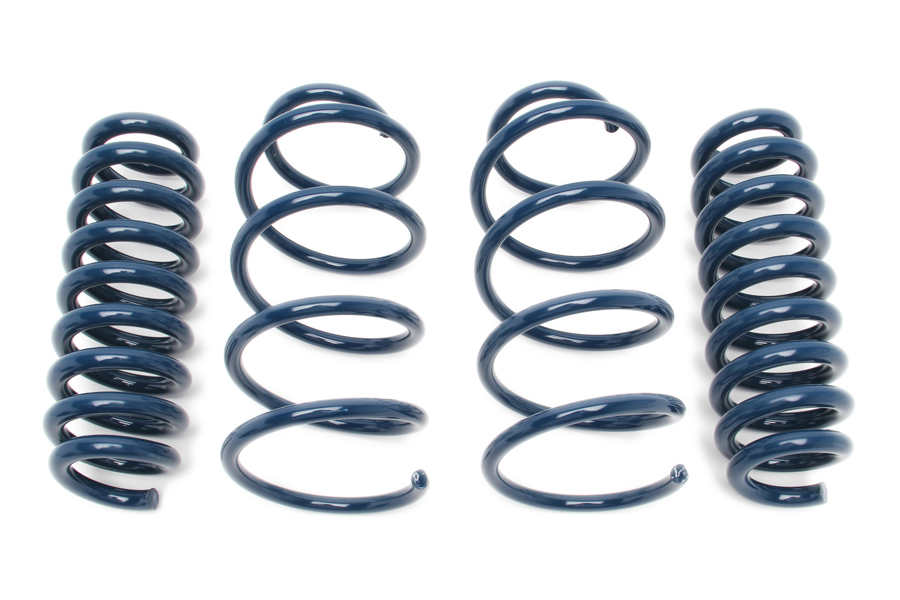 Dinan D100-0497 - Performance Coil Spring Set