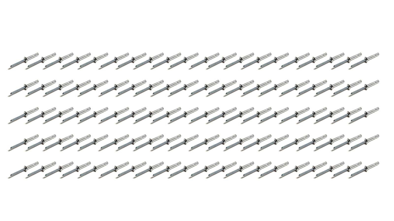 FiveStar 816A-100S - Small Head Rivet Silver 100pc 3/16in Long Shank