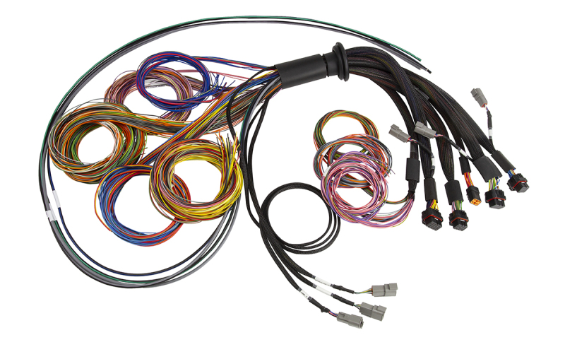 Haltech HT-185200 - NEXUS R5 Universal Wire-In Harness - 2.5M (8ft)