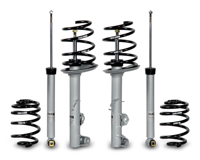 H&R 31005-1 - 92-98 BMW 318i/318is E36 Sport Cup Kit (Non Cabrio) H&R 31005-1 - 92-98 BMW 318i/318is E36 Sport Cup Kit (Non Cabrio)