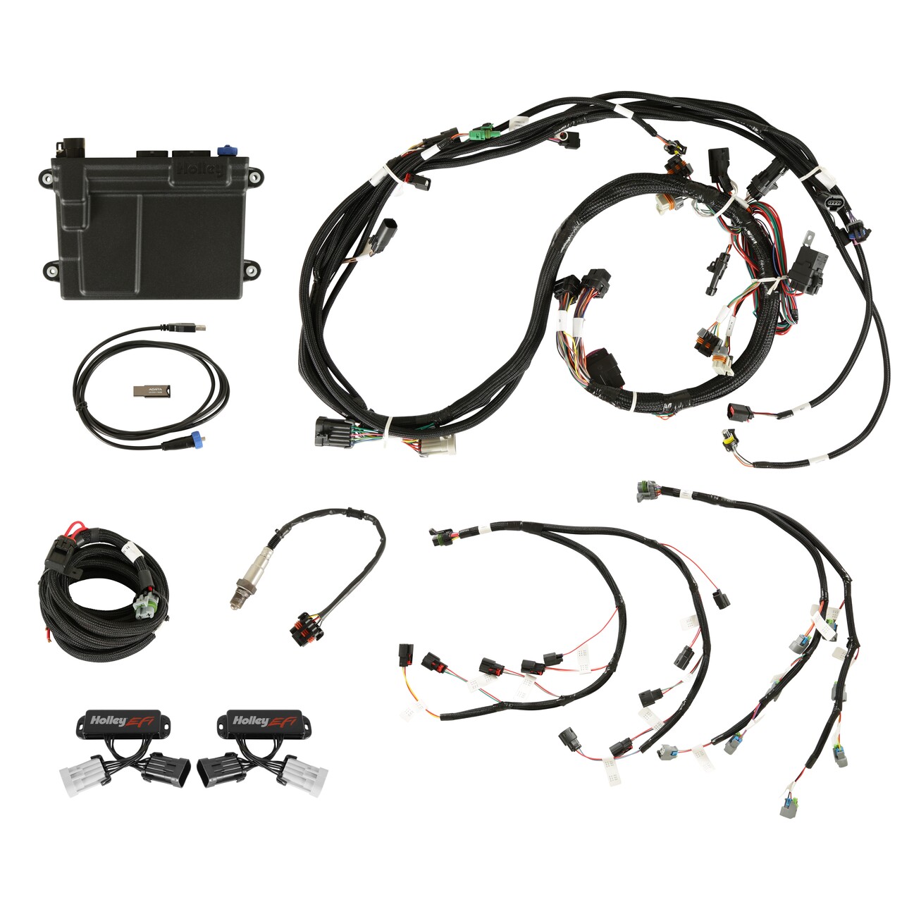 Holley EFI 550-628 - TI-VCT Capable HP EFI Kit