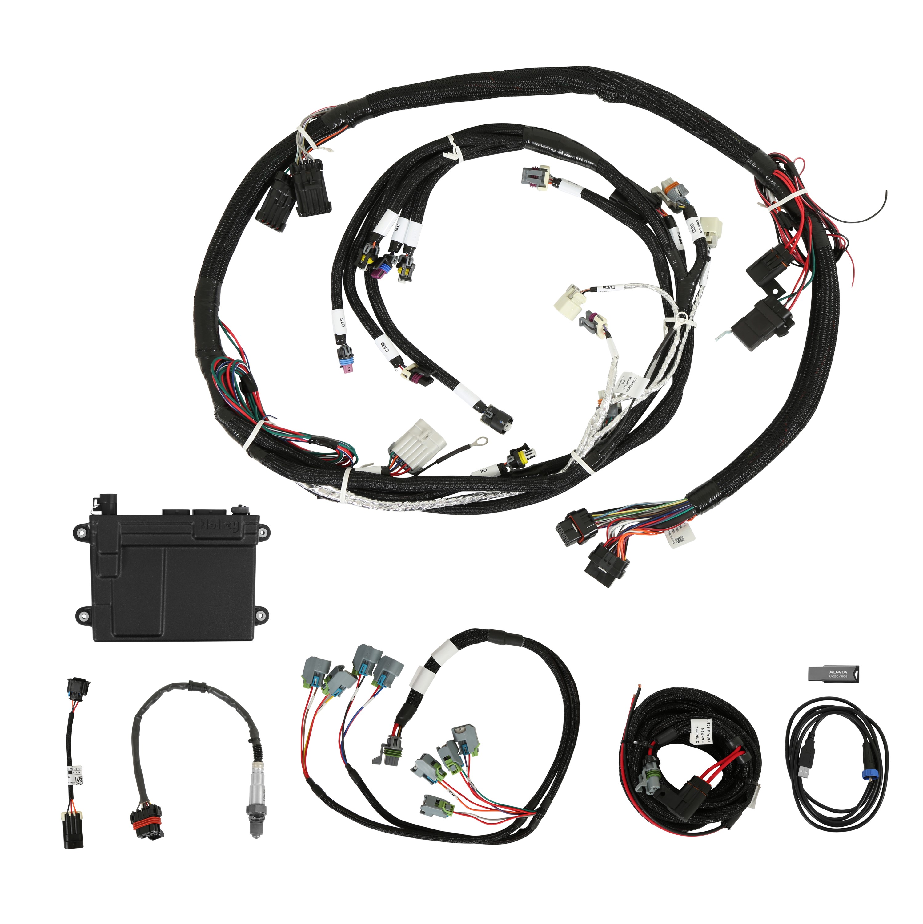 Holley EFI 550-603 - HP EFI ECU And Harness Kit