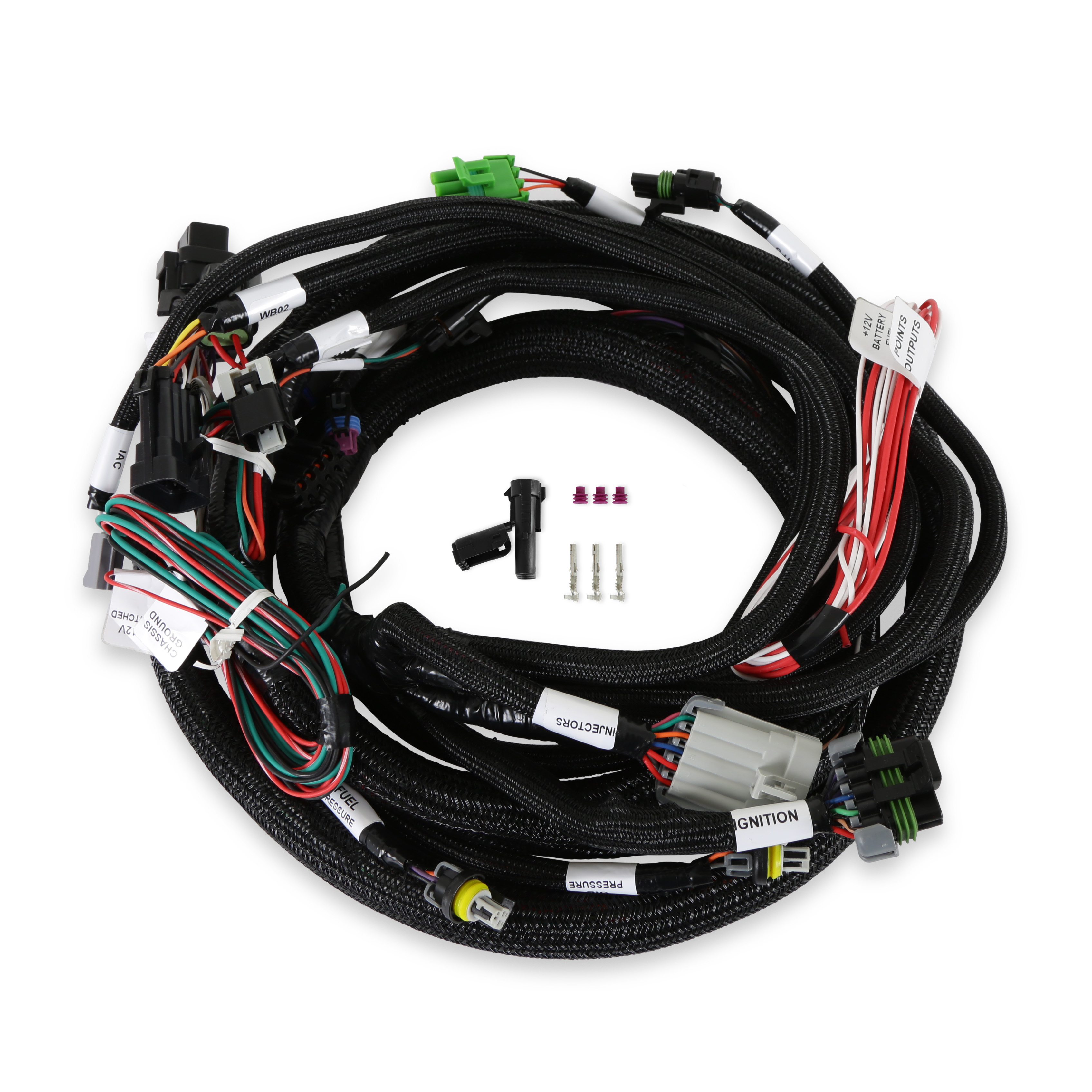 Holley EFI 558-128 - EFI Engine Main Harness