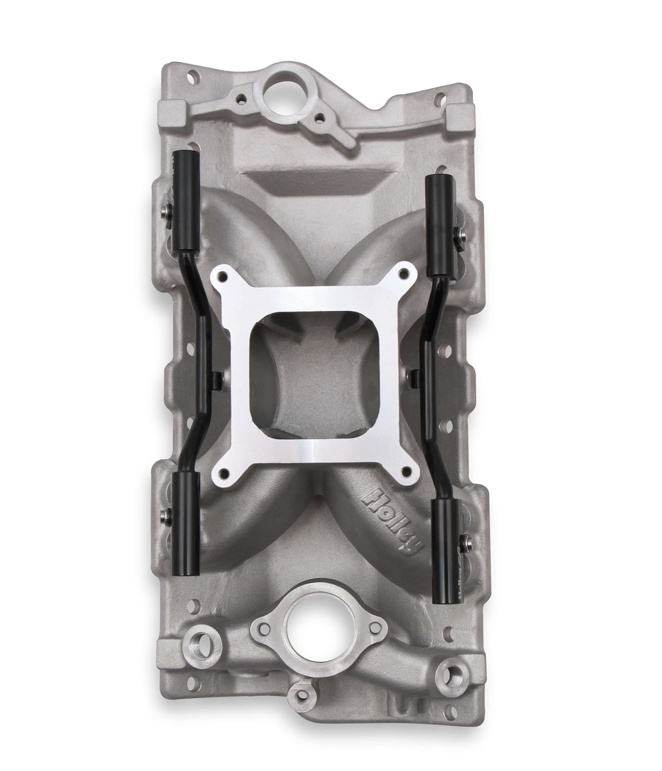 Holley 300-260 - EFI Intake Manifold and Fuel Rail Kit