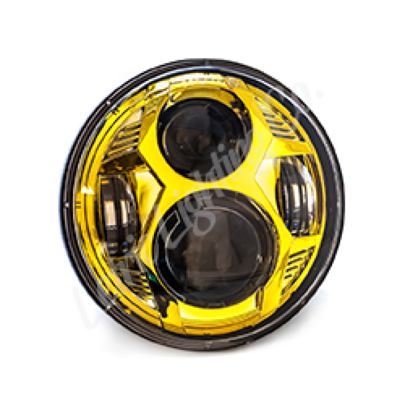 Letric Lighting LLC-CC-5G - 5.75in Gold Led