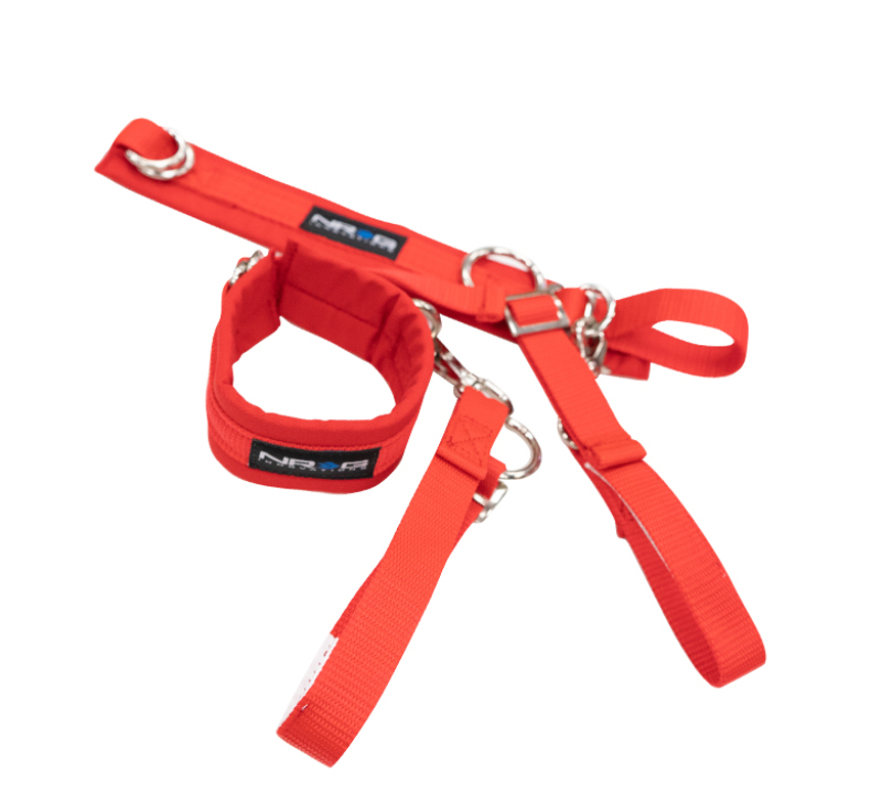 NRG SBH-AR01RD - SFI 3.3 Arm Restraints One Pair - Red