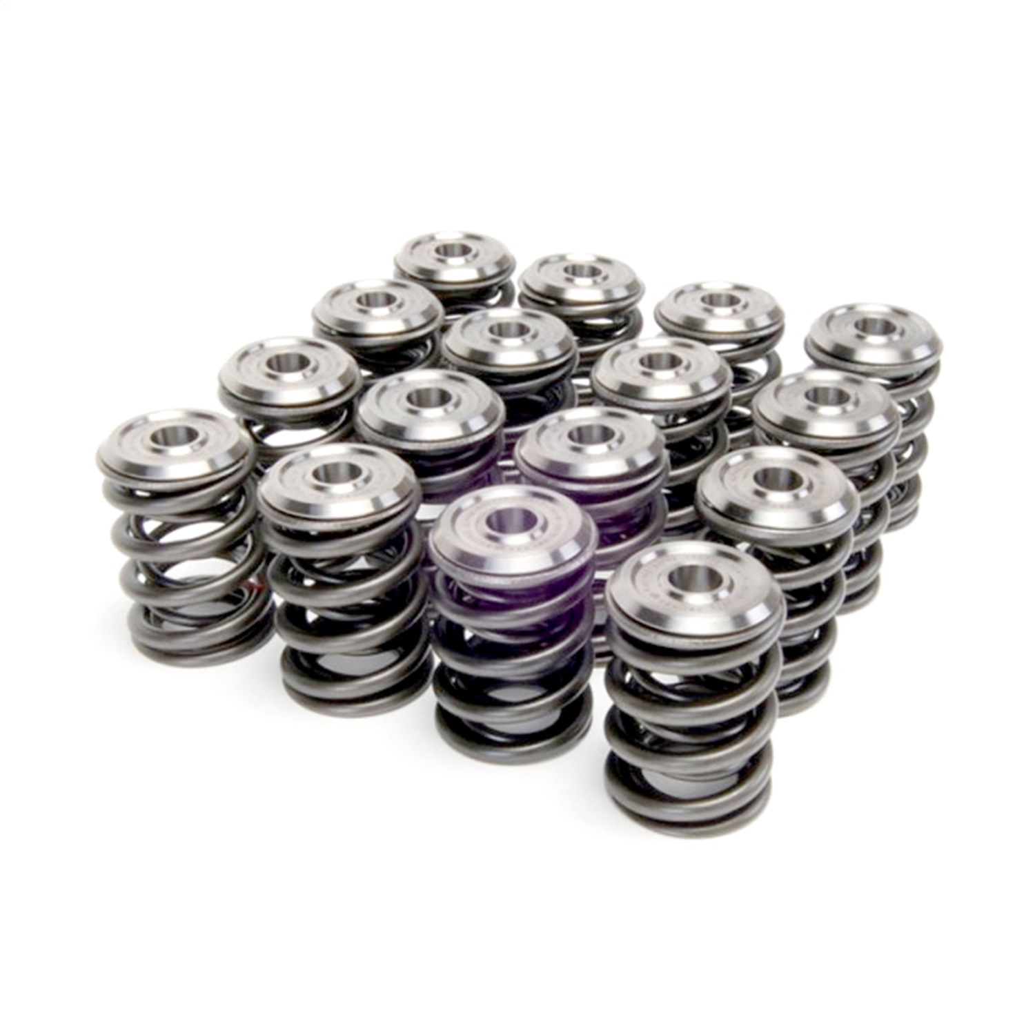 Skunk2 344-05-1300 - Alpha Series Honda/Acura B Series Valve Spring and Titanium Retainer Kit