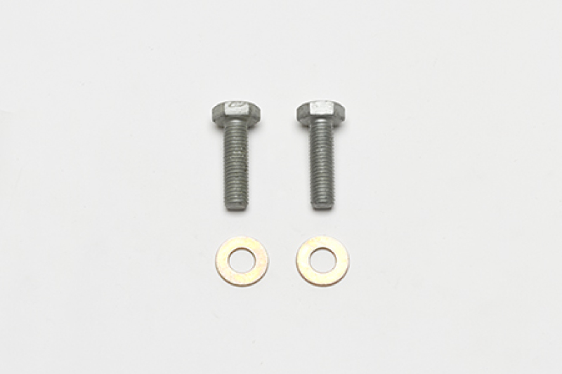 Wilwood 230-11705 - Bolt Kit Bracket Mount M10-1.50 Thread - 2 Qty Wilwood 230-11705 - Bolt Kit Bracket Mount M10-1.50 Thread - 2 Qty