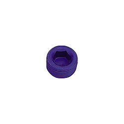 Xrp-Xtreme Racing 993201 - 1/16 Pipe Plug (Allen) (2pk)