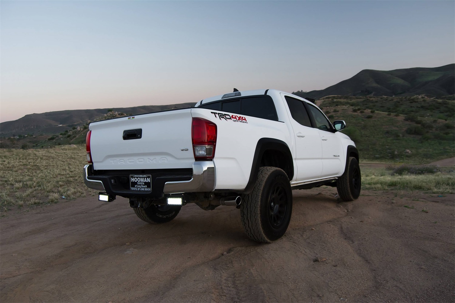 ZROADZ Z389401 - ZROADS - Rear Bumper