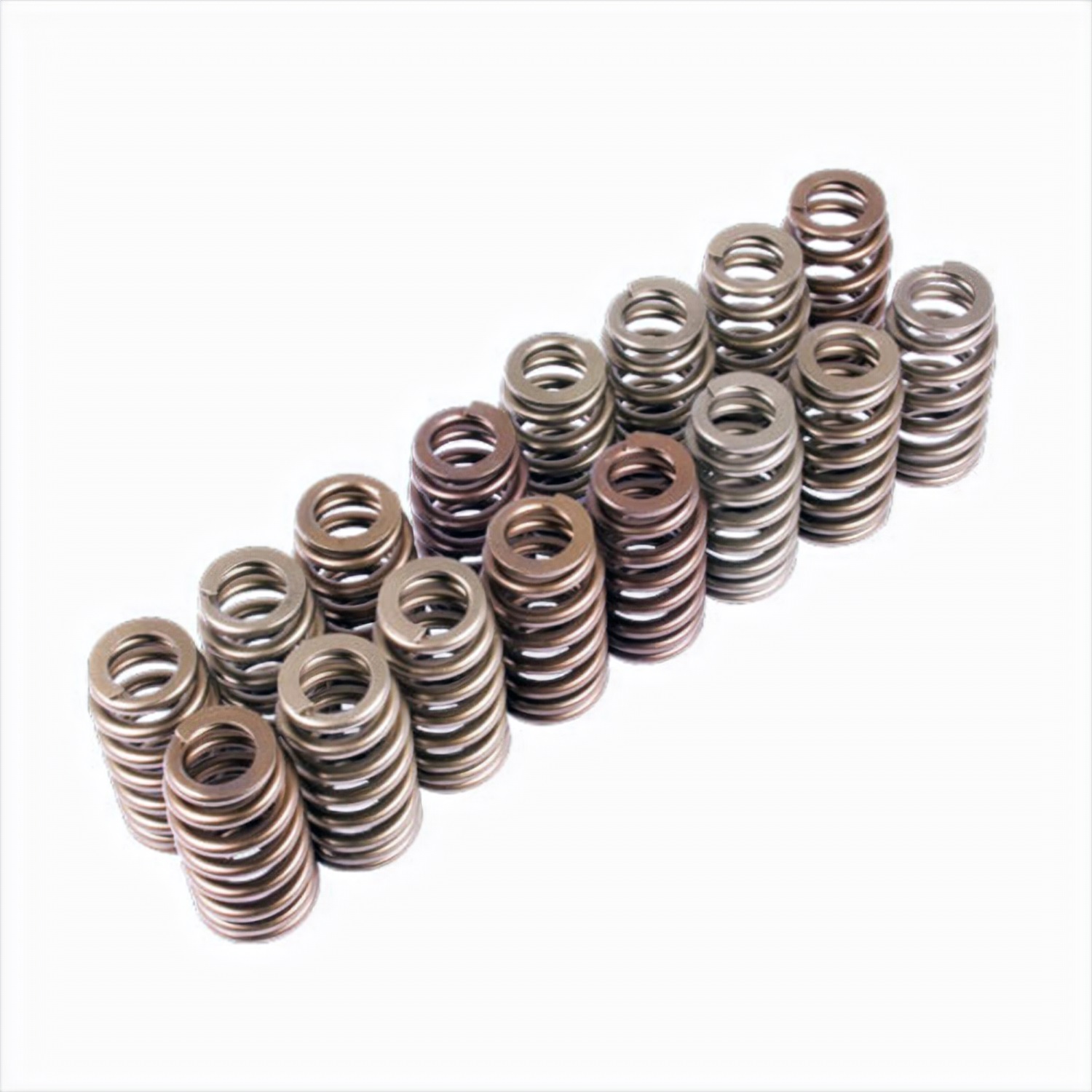 Ford Racing M-6513-M50BR - BOSS 302R Valve Spring Kit