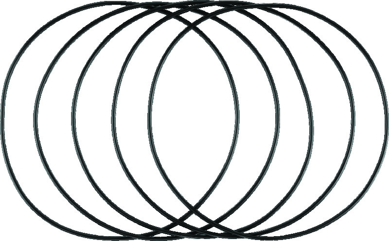 TwinPower 043263 - Twin Power L82-06 Big Twin Exc 06 Dyna Inner Primary O Ring Replaces H-D 11147 5 Pk TwinPower 043263 - Twin Power L82-06 Big Twin Exc 06 Dyna Inner Primary O Ring Replaces H-D 11147 5 Pk
