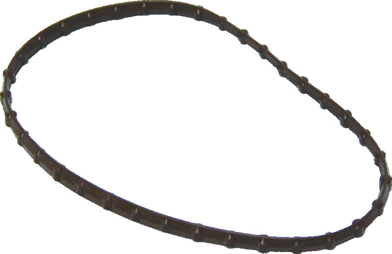 TwinPower 046173 - Twin Power 08-17 FLH FLT Models Fuel Pump Plate Seal Viton Replaces H-D 61402-08