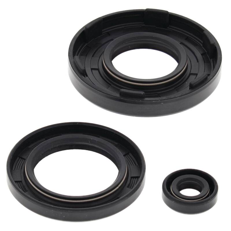 Vertex Pistons 55111 - Vertex Gaskets 91-93 Arctic Cat Cheetah Touring Oil Seal Kit Vertex Pistons 55111 - Vertex Gaskets 91-93 Arctic Cat Cheetah Touring Oil Seal Kit