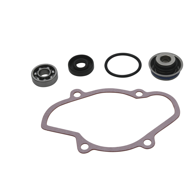 Vertex Pistons 721312 - Vertex Gaskets 16-18 Ski-Doo Expedition 800 2-Stroke ETEC Water Pump Rebuild Kit Vertex Pistons 721312 - Vertex Gaskets 16-18 Ski-Doo Expedition 800 2-Stroke ETEC Water Pump Rebuild Kit